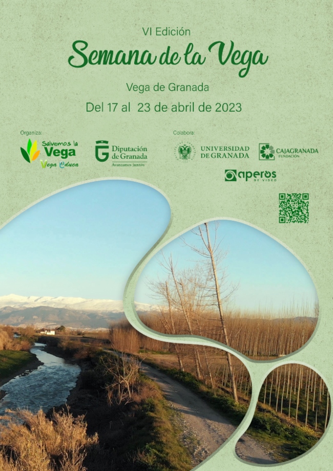 Cartel VI Semana de la Vega (DIPGRA)