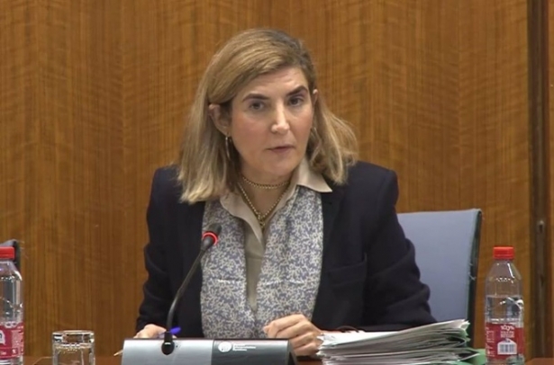 La consejera de Empleo, Empresa y Trabajo Autónomo, Rocío Blanco, en comisión parlamentaria.(JUNTA DE ANDALUCÍA) La consejera de Empleo, Empresa y Trabajo Autónomo, Rocío Blanco, en comisión parlamentaria.(JUNTA DE ANDALUCÍA)