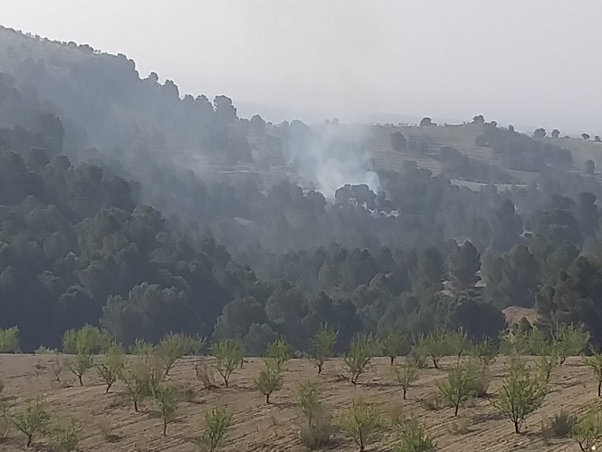 Lugar del incendio (INFOCA)