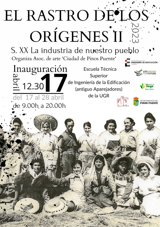 (AYTO. PINOS PUENTE) 