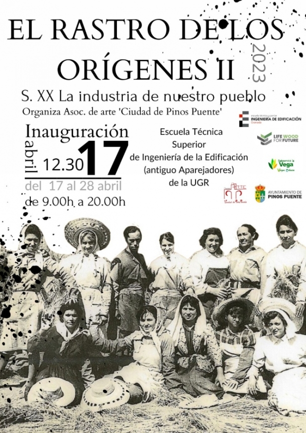 (AYTO. PINOS PUENTE) (AYTO. PINOS PUENTE)