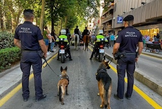 Proyecto de asistencia canina (AYTO. GRANADA) 