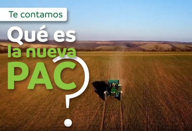 (FAECA) (FAECA)