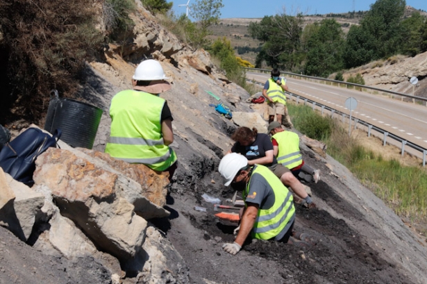 Una de las excavaciones en el yacimiento de San Just (J. MILLÁN). Una de las excavaciones en el yacimiento de San Just (J. MILLÁN).