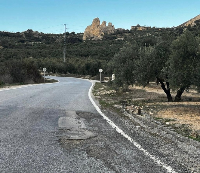 Estado de la carretera (PP)