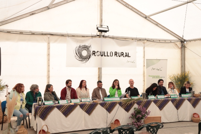Imagen de la mesa redonda (ALVELAI) 