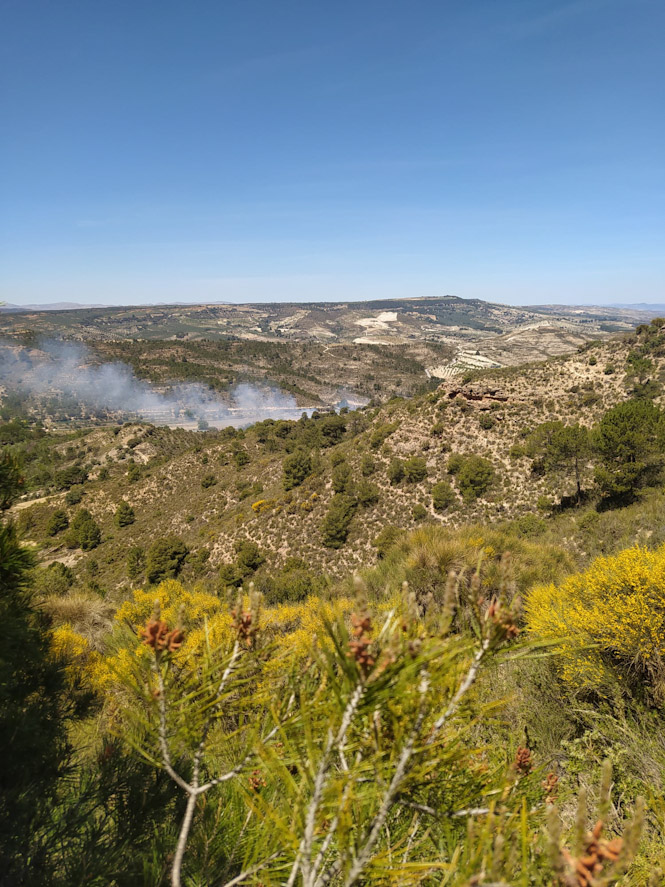 Lugar del incendio (INFOCA) 