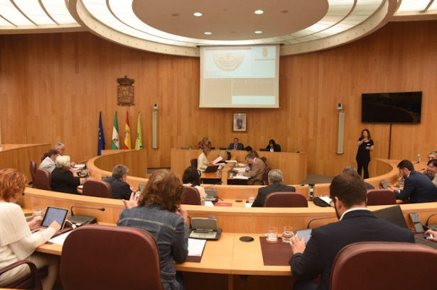 Pleno de la Diputación de Granada (DIPGRA)