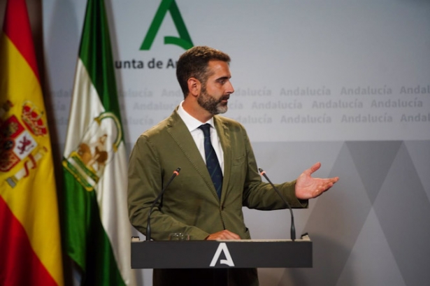 El consejero de Sostenibilidad, Medio Ambiente y Economía Azul y portavoz del Gobierno, Ramón Fernández Pacheco, en la rueda de prensa posterior al Consejo de Gobierno andaluz (EDUARDO BRIONES - EUROPA PRESS)