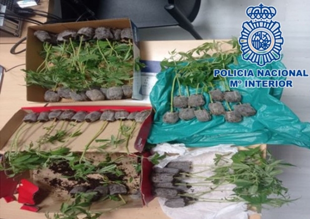 (POLICÍA NACIONAL)