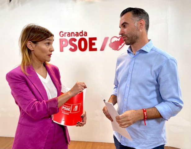 (PSOE) (PSOE)