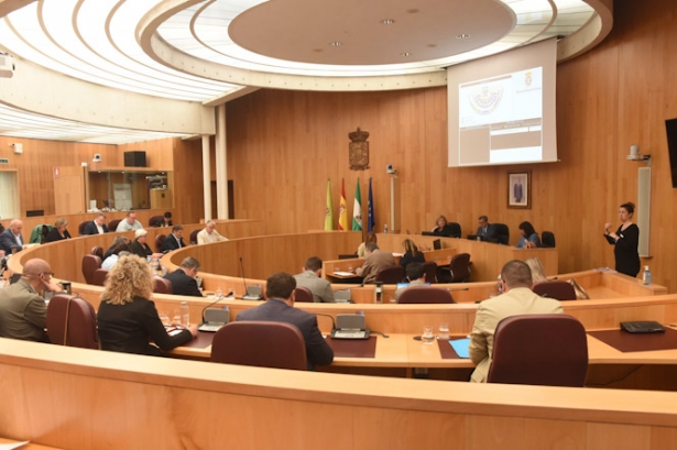 Pleno de la Diputación de Granada (DIPGRA)