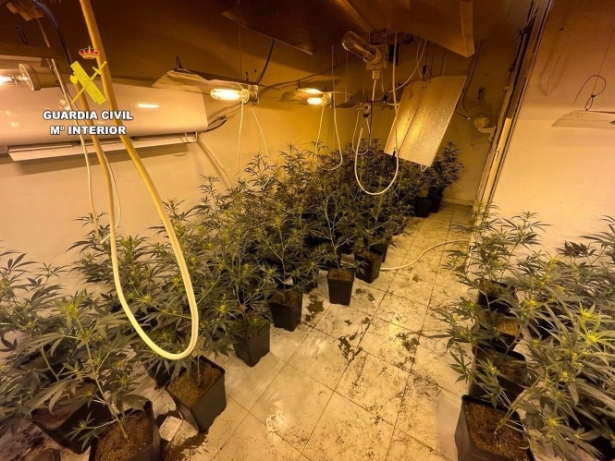 Zulo con marihuana, en imagen de archivo (GUARDIA CIVIL)
