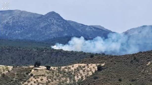 Incendio en Jayena (INFOCA)