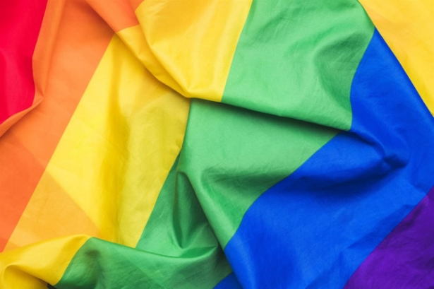 BANDERA LGTBI+ (DIPUTACIÓN FORAL DE ÁLAVA)