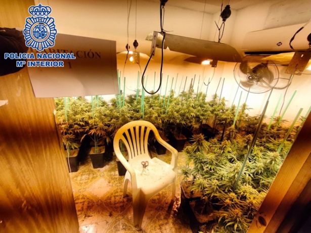Plantación de marihuana en la zona norte de la capital granadina, en imagen de archivo (POLICÍA NACIONAL)