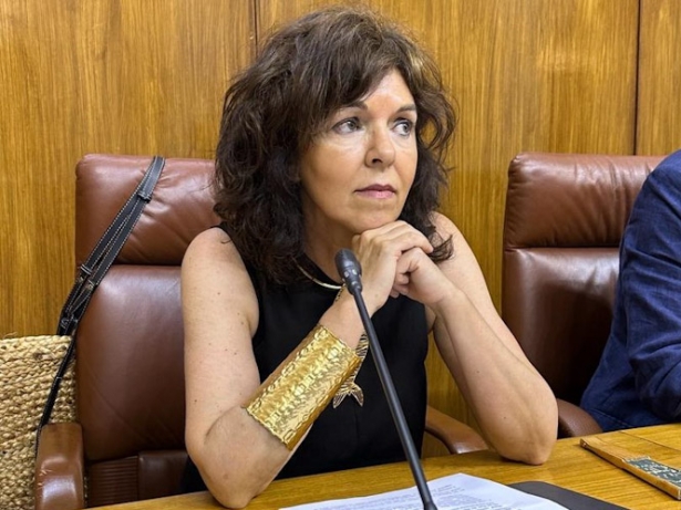 La parlamentaria andaluza del PSOE, Mari Ángeles Prieto (PSOE) La parlamentaria andaluza del PSOE, Mari Ángeles Prieto (PSOE)