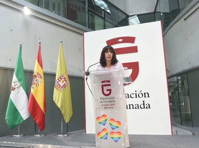 diputada de Bienestar Social en funciones, Olvido de la Rosa (R. MARTÍNEZ / DIPGRA)