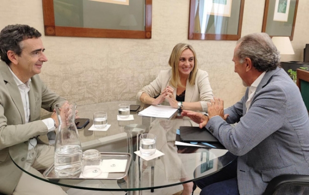 Imagen de la reunión (AYTO. GRANADA)