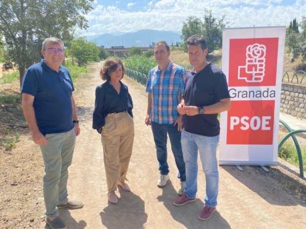(PSOE) (PSOE)