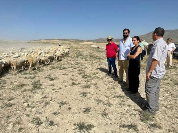 Visita a la Asociación Nacional de Criadores de Ovino Segureño (VOX) Visita a la Asociación Nacional de Criadores de Ovino Segureño (VOX)