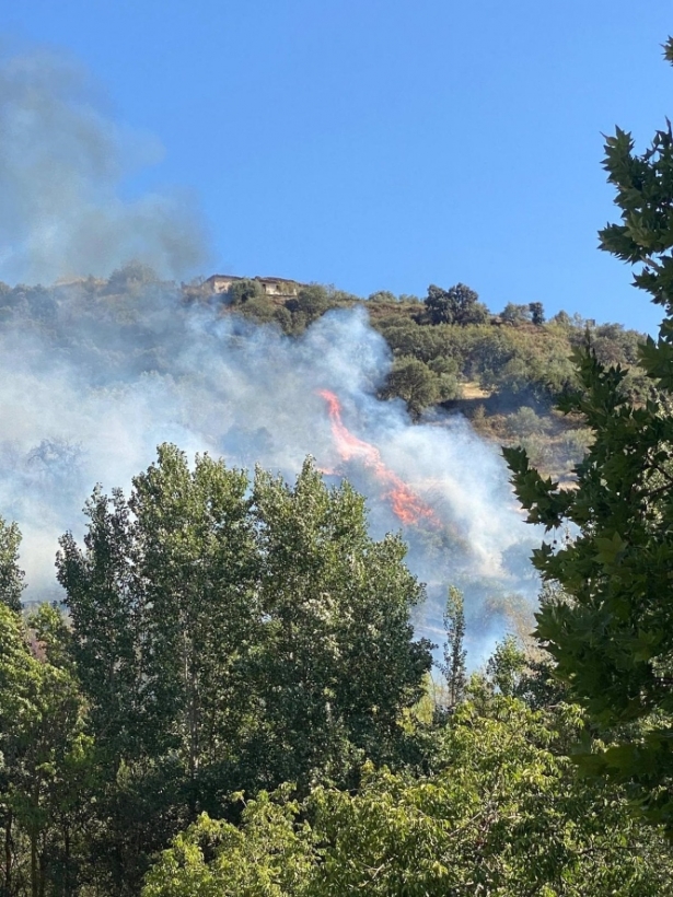 Primeras horas del incendio forestal declarado el viernes en Pinos Genil (INFOCA)