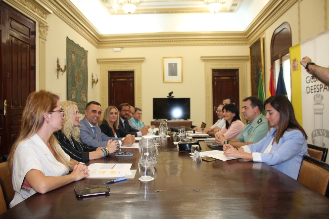 Imagen de la reunión (SUBDELEGACIÓN)