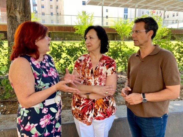 (PSOE) (PSOE)