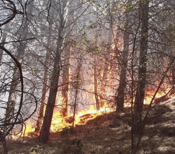 Incendio forestal en Dúrcal, el pasado viernes (PERFIL DEL INFOCA EN LA RED SOCIAL X)