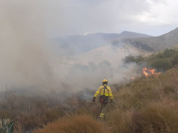 Imagen del incendio en Güéjar Sierra (INFOCA)