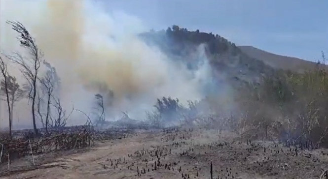 Imagen de archivo de este pasado domingo, 27 de agosto, del incendio declarado en un paraje de Órgiva (INFOCA)