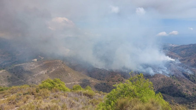 Incendio forestal declarado en término de Almuñécar, este pasado miércoles (PERFIL DEL INFOCA EN LA RED SOCIAL X)