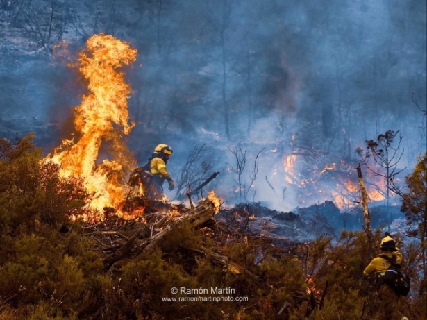 Efectivos del Infoca luchando contra el fuego en Los Guájares (PLAN INFOCA) Efectivos del Infoca luchando contra el fuego en Los Guájares (PLAN INFOCA)