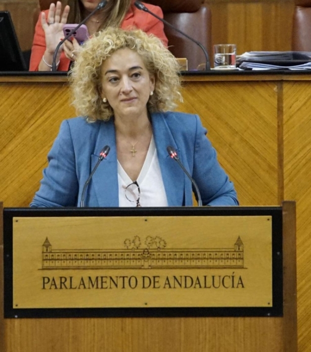 La parlamentaria andaluza del PP, Rosa Fuentes (PP) La parlamentaria andaluza del PP, Rosa Fuentes (PP)