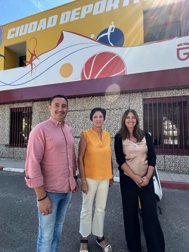 (PSOE) (PSOE)