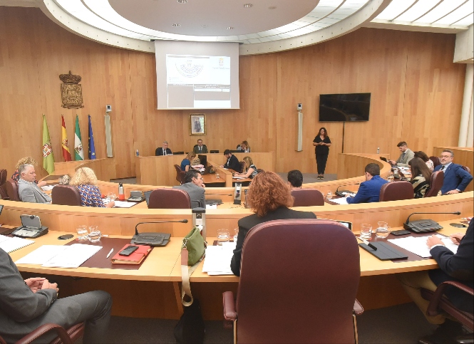 Pleno de Diputación (DIPGRA) 