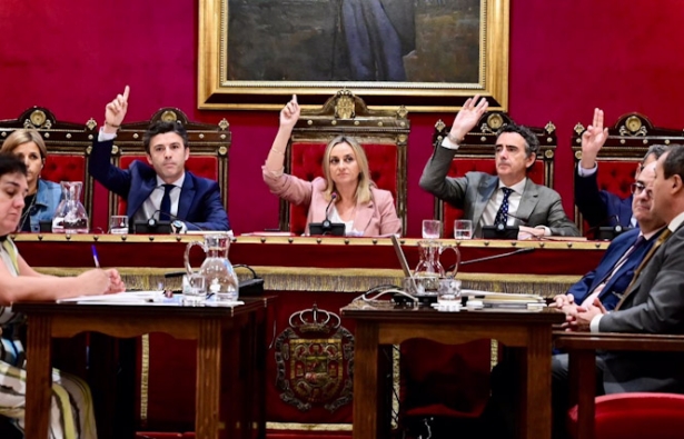 Pleno del Ayuntamiento de Granada (PERFIL DE MARIFRÁN CARAZO EN LA RED SOCIAL `X`)