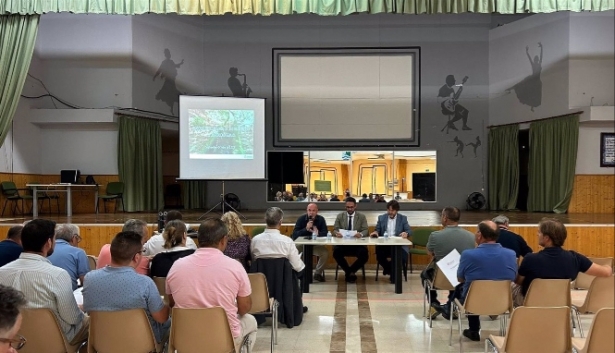 Reunión comarcal de la Diputación de Granada (DIPUTACIÓN DE GRANADA) 