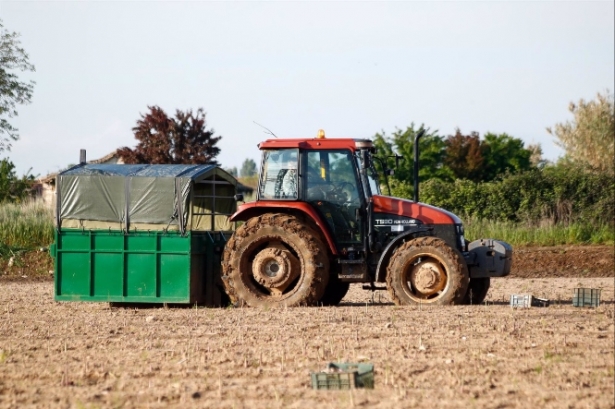 Un tractor recoge las cajas de espárragos verdes recolectados en una plantación de Guadalajara, en imagen de archivo (ÓSCAR J. BARROSO / EUROPA PRESS) 