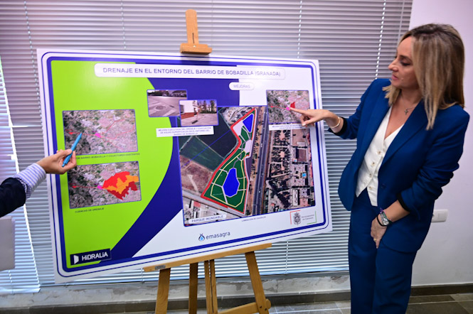 Presentación del proyecto (AYTO. GRANADA)
