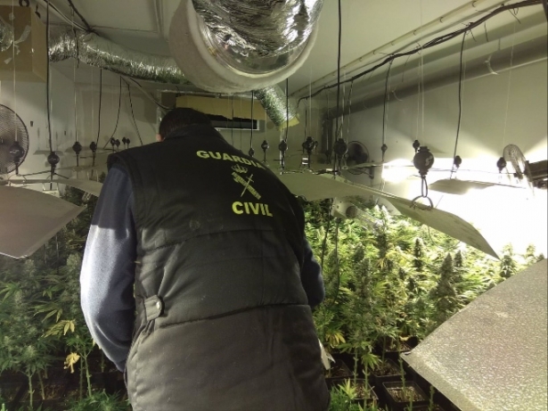 Decomiso de marihuana en la provincia de Granada (GUARDIA CIVIL) Decomiso de marihuana en la provincia de Granada (GUARDIA CIVIL)