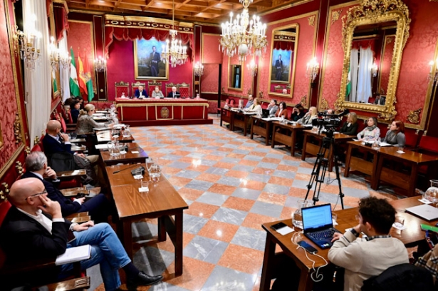 (AYUNTAMIENTO DE GRANADA) (AYUNTAMIENTO DE GRANADA)