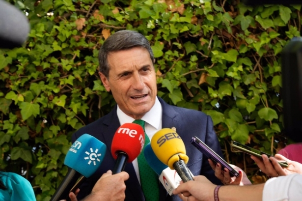 El Delegado del Gobierno en Andalucía, Pedro Fernández, en imagen de archivo (EDUARDO BRIONES / EUROPA  PRESS)