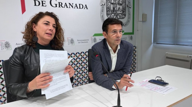 (PSOE) (PSOE)
