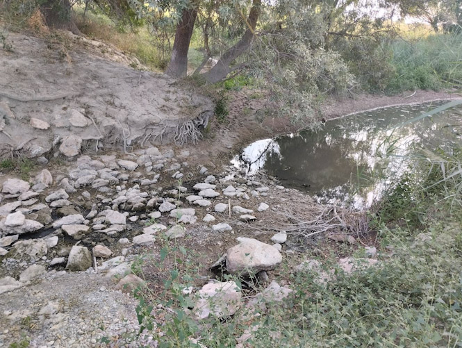 Río Guardal, en imagen de archivo (VECINOS EN DEFENSA DEL RÍO GUARDAL)