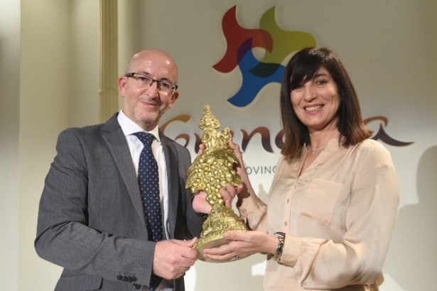 Presentación de los premios (DIPUTACION)