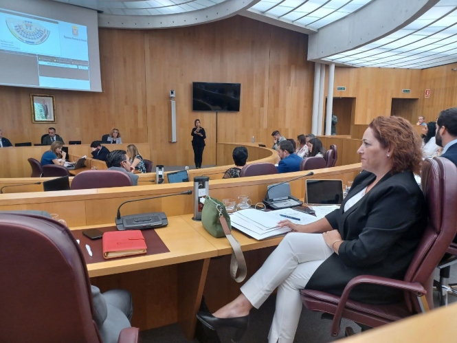 La Diputada provincial de Izquierda Unida, Mari Carmen Pérez (IU)