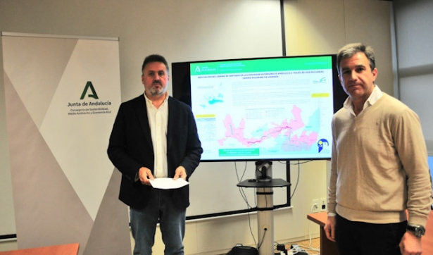 Presentación de las actuaciones realizadas (JUNTA)