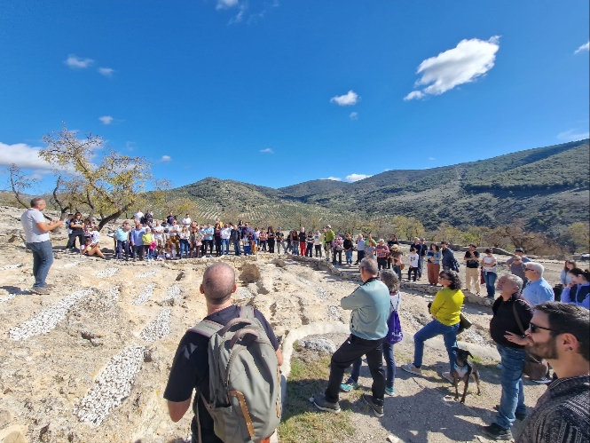 Yacimiento de Tózar (AYTO. MOCLÍN) 