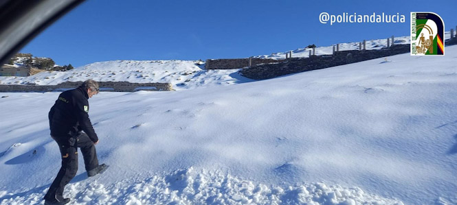 Un dispositivo con ayuda ciudadana permite localizar a un niño de cinco años perdido en Sierra Nevada (@POLICIANDALUCIA)